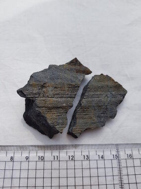 Fossiel Carboon 18